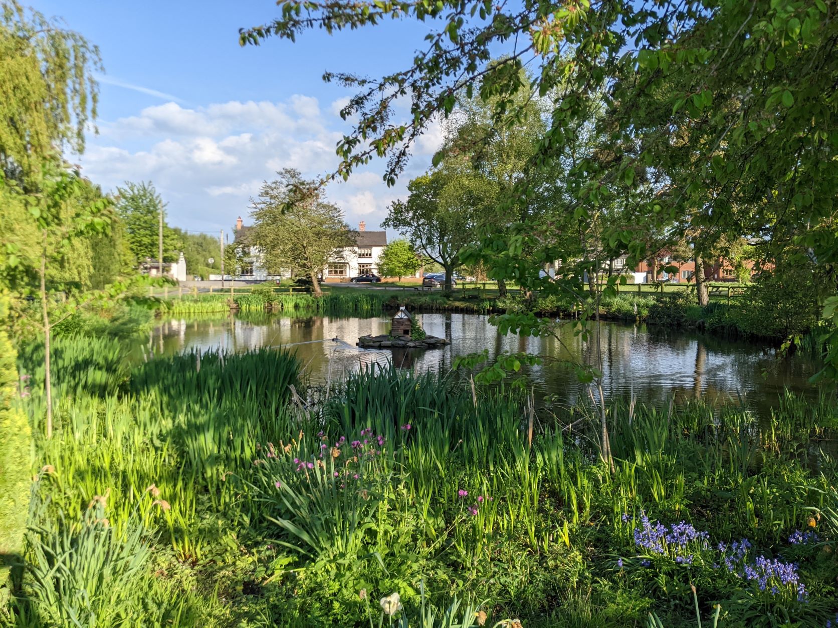 View across village pond, May 5th